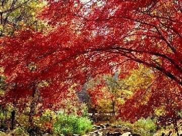 春季三月西安周邊旅游景點推薦好吃好玩的好地方