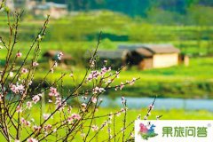 云南壩美旅游最佳時(shí)間和季節(jié)