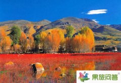 香格里拉旅游季節(jié)感受不同的普達(dá)措森林公園