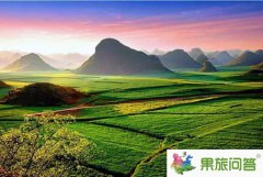 我們一起去云南看油菜花開(kāi)