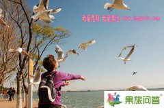 <b>滇池小學(xué)作文【我愛昆明 我愛滇池】</b>