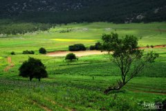麗江好玩的地方——九子海_麗江旅游景點推薦 麗江自助游攻略最新