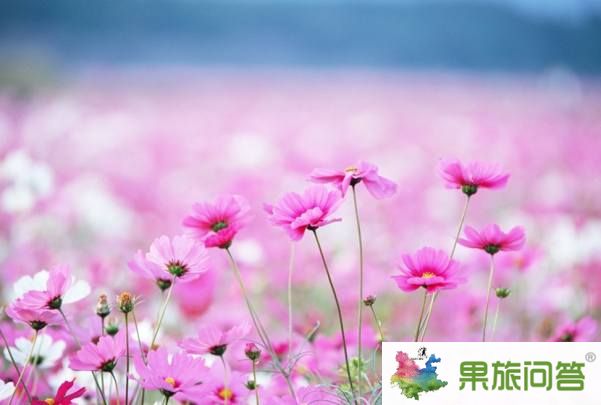 11月香格里拉七彩的格?；í?dú)秀云南