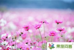 11月香格里拉七彩的格?；í毿阍颇? width=