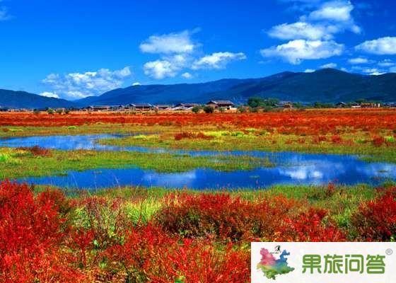 昆明、大理、麗江、香格里拉 7晚8天 生態(tài)休閑之旅
