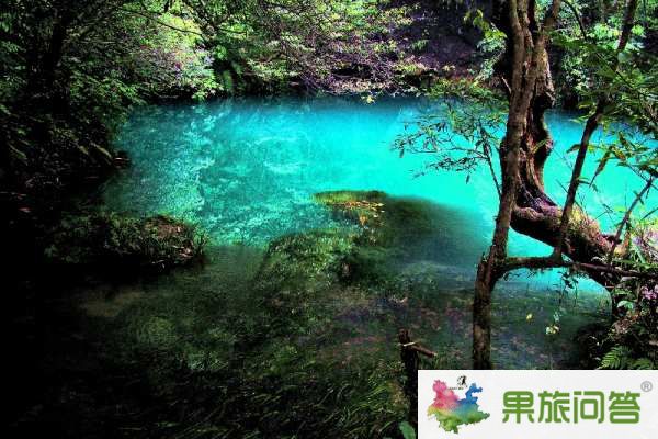 昆明、大理、麗江、西雙版納”7晚8天生態(tài)休閑之旅