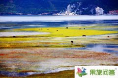 云南納帕海帶您走進(jìn)純凈的大自然