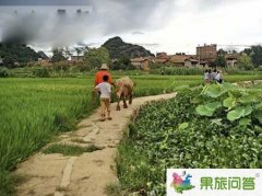 普者黑旅游攻略|云南文山普者黑自助游攻略《爸爸去哪兒》在普者黑錄制