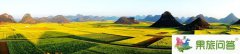 <b>最新春季后到云南旅游羅平花海</b>