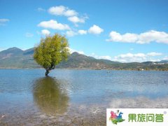 最新大年初一跟團(tuán)游云南日記【火車篇】