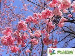 同學們?nèi)ピ颇下糜畏抢ッ鲊貌桓? width=