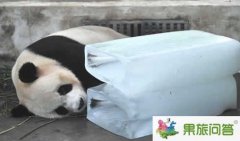 七月份去昆明旅游好玩嗎？
