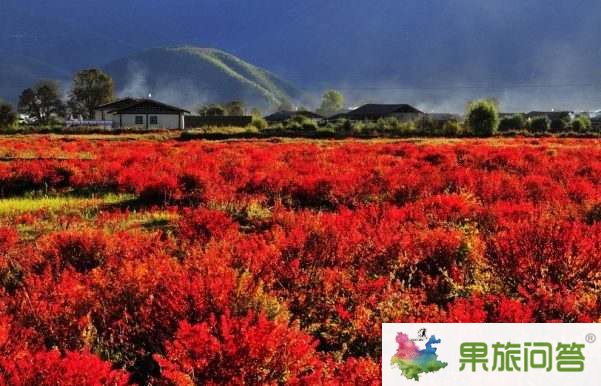 超值休閑游—麗江、香格里拉、大理六日游 HX