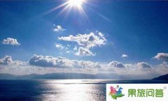 滇池湖濱生態(tài)濕地吸引了許多鳥類 消失已久的喜鵲、烏鴉又回到昆明