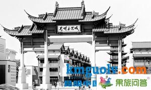 在整個云南珠寶產(chǎn)業(yè)中，昆明玉器城已被寄予了厚望。