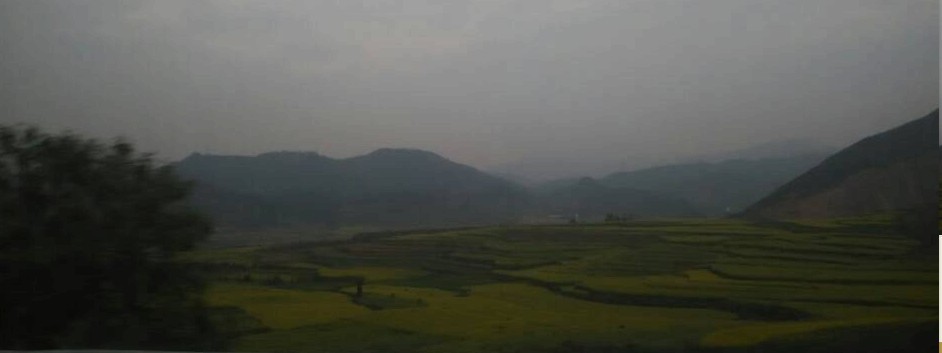 云南羅平油菜花已經(jīng)開(kāi)了,你還等什么?