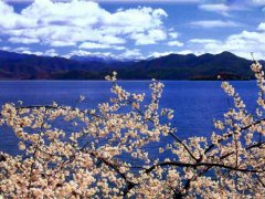 瀘沽湖機(jī)場(chǎng)到瀘沽湖怎么坐車？有多少