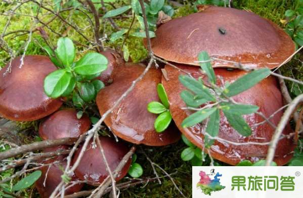 云南有什么好吃的？