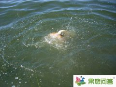 <b>大理洱海水有多深|大理洱海有沒有水怪？</b>