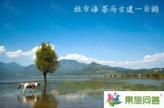 情侶蜜約麗江—云南旅游可千萬別錯過了麗江